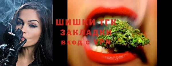 apvp Осинники