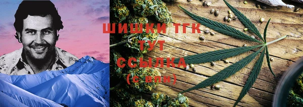 дурь Пестово