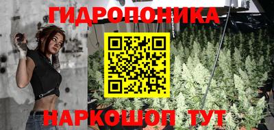 дживик Гатчина