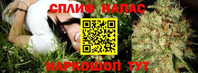 дживик Гатчина
