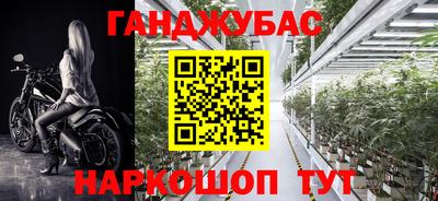 дживик Гатчина