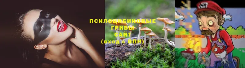 где продают наркотики  Анжеро-Судженск  Галлюциногенные грибы Magic Shrooms 