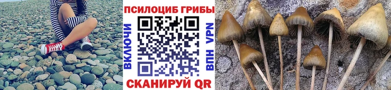 MEGA онион  Анжеро-Судженск  Галлюциногенные грибы GOLDEN TEACHER 