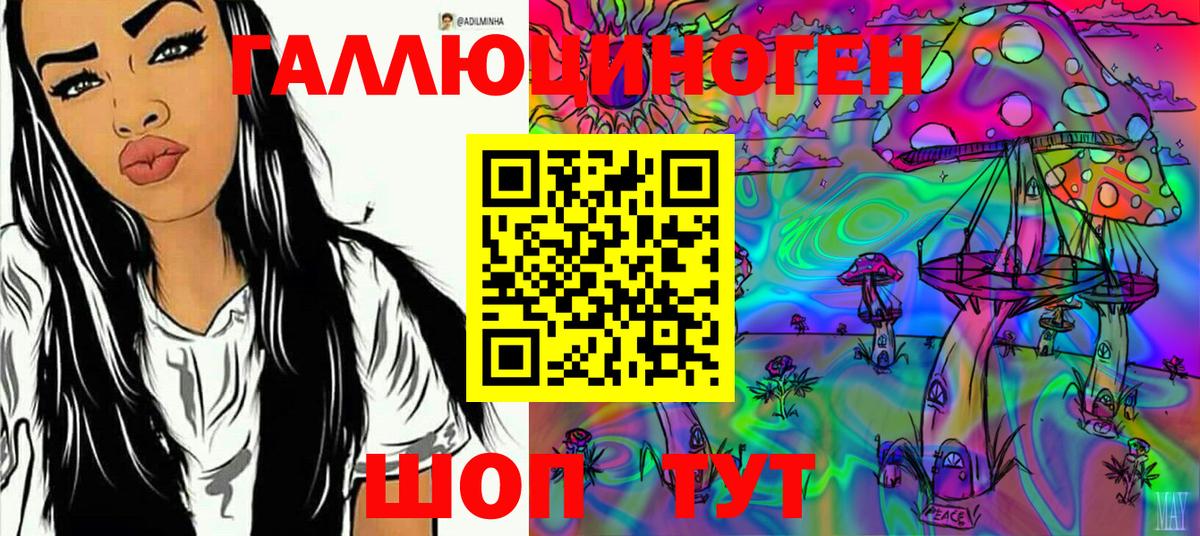 Псилоцибиновые грибы Psilocybe Анжеро-Судженск
