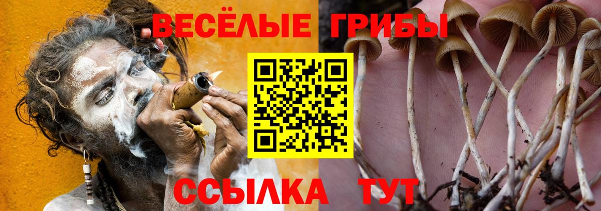 Галлюциногенные грибы Cubensis  Анжеро-Судженск  Галлюциногенные грибы MAGIC MUSHROOMS 