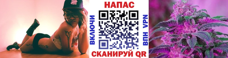 Шишки марихуана сатива Анжеро-Судженск